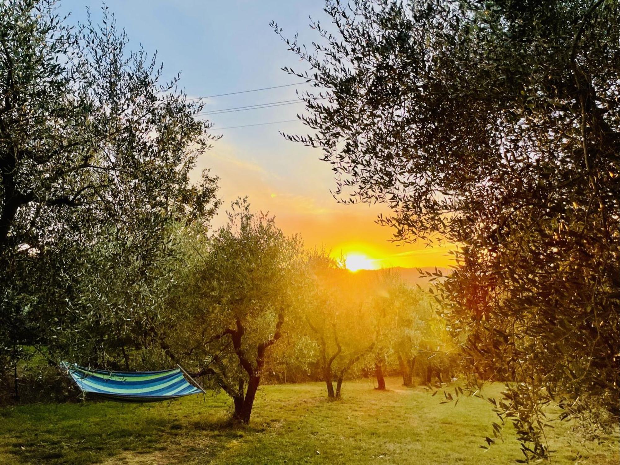 Agriturismo Casaviva Pozzo  Dış mekan fotoğraf