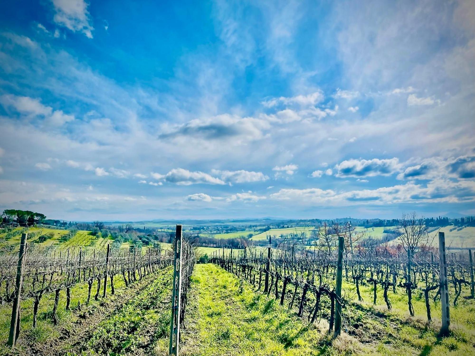 Agriturismo Casaviva Pozzo  Dış mekan fotoğraf